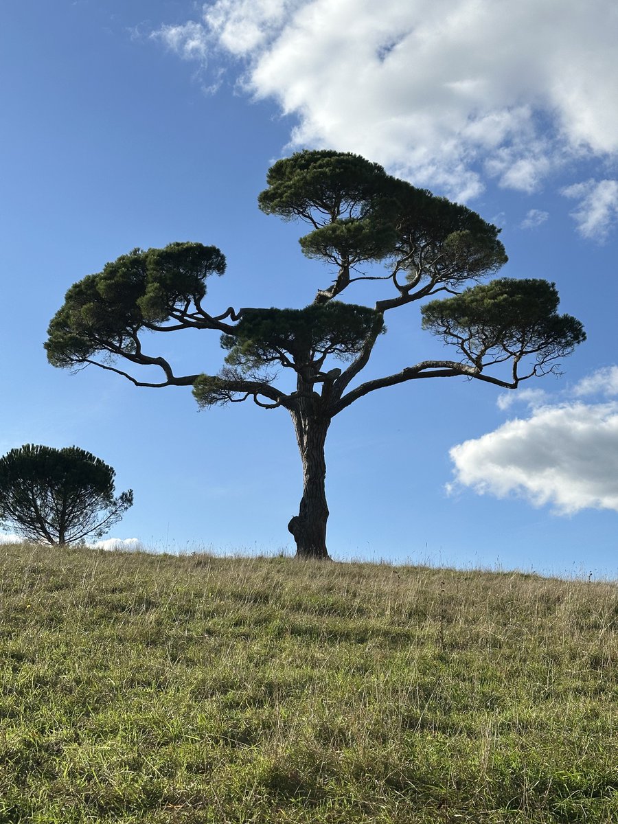 Afternoon walk around Dartington...