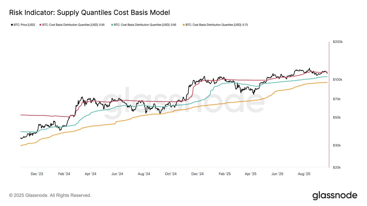 Bitcoin has slipped below the 0.95 Cost Basis Quantile, a key risk band  that often marks profit-taking zones. Reclaiming it would signal renewed  strength, but failure to do so risks a drift
