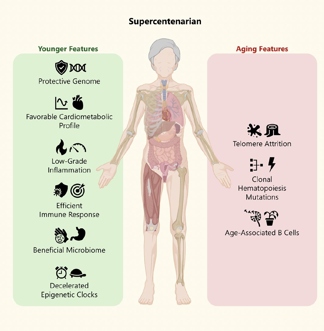 Comprehensive biologic characterization of a 117-year old supercentenarian, the world's oldest living person
 cell.com/cell-reports-m…