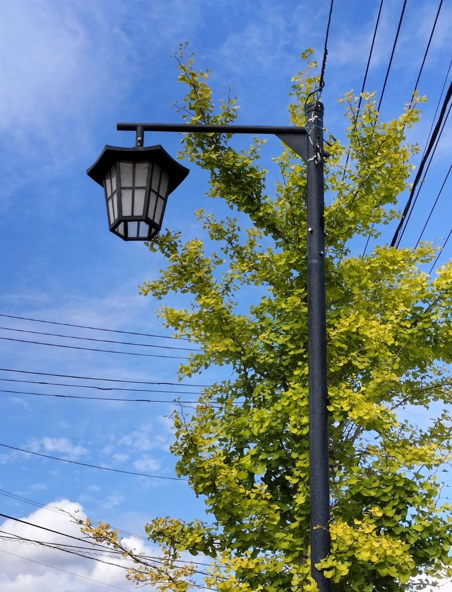 12345toutoo's tweet image. #見た人もなにか街灯をあげる
ちょっぴり秋の気配
桑折町