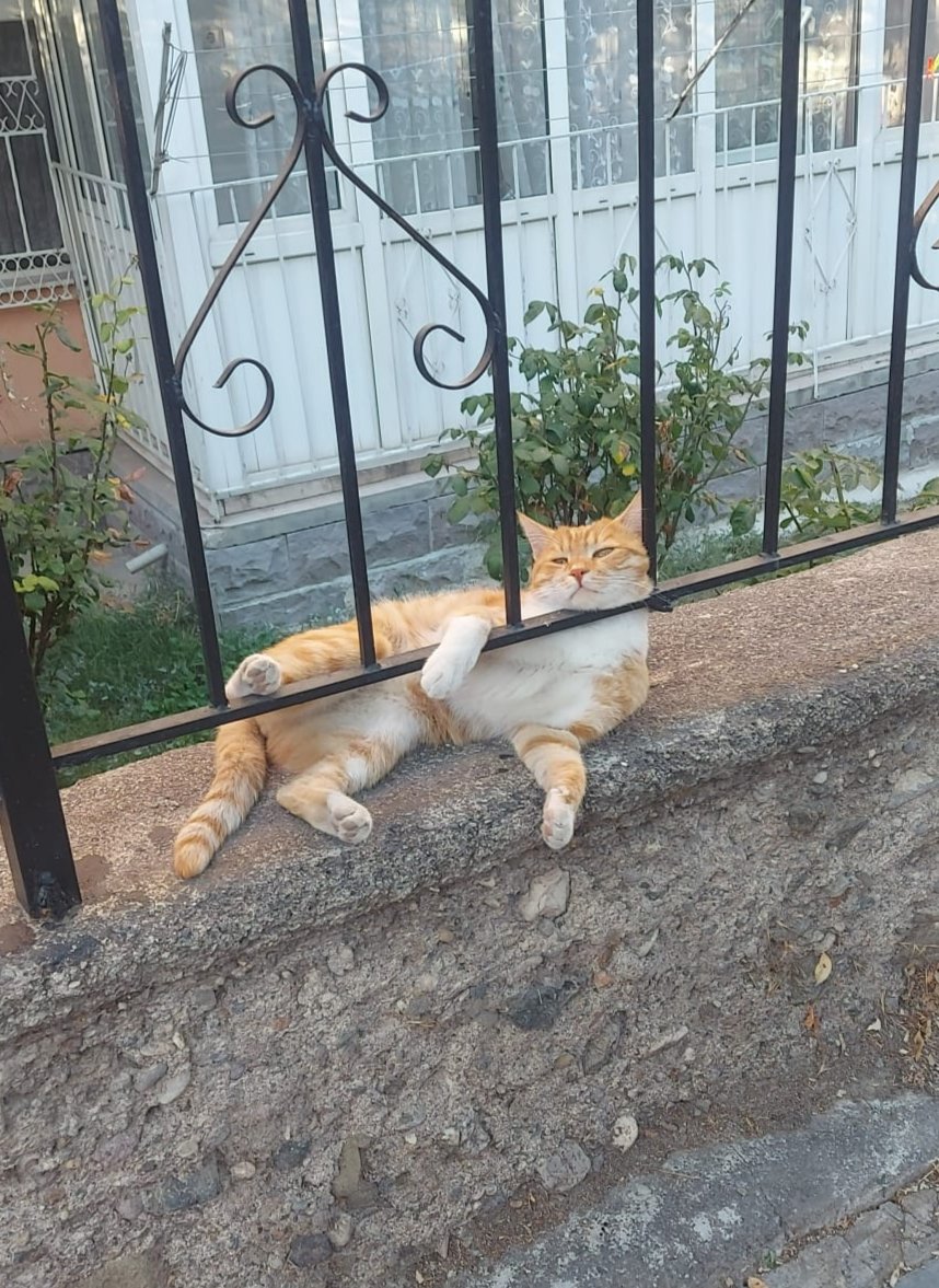 İzinli günümüzde bizim rahatlık;