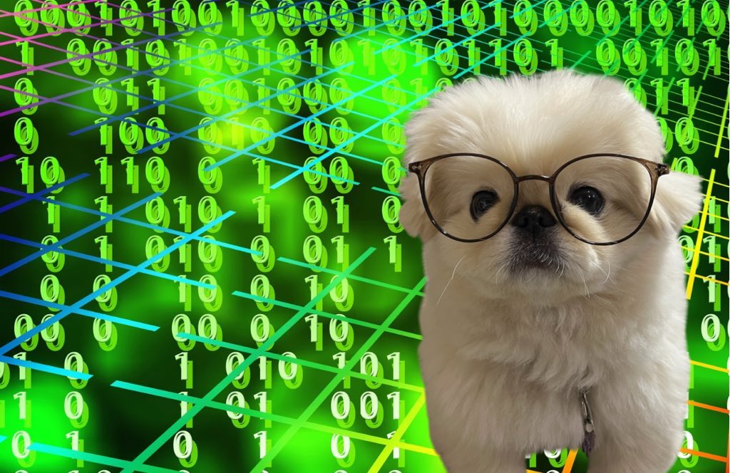 こめ処 (@inugairu706) on Twitter photo 