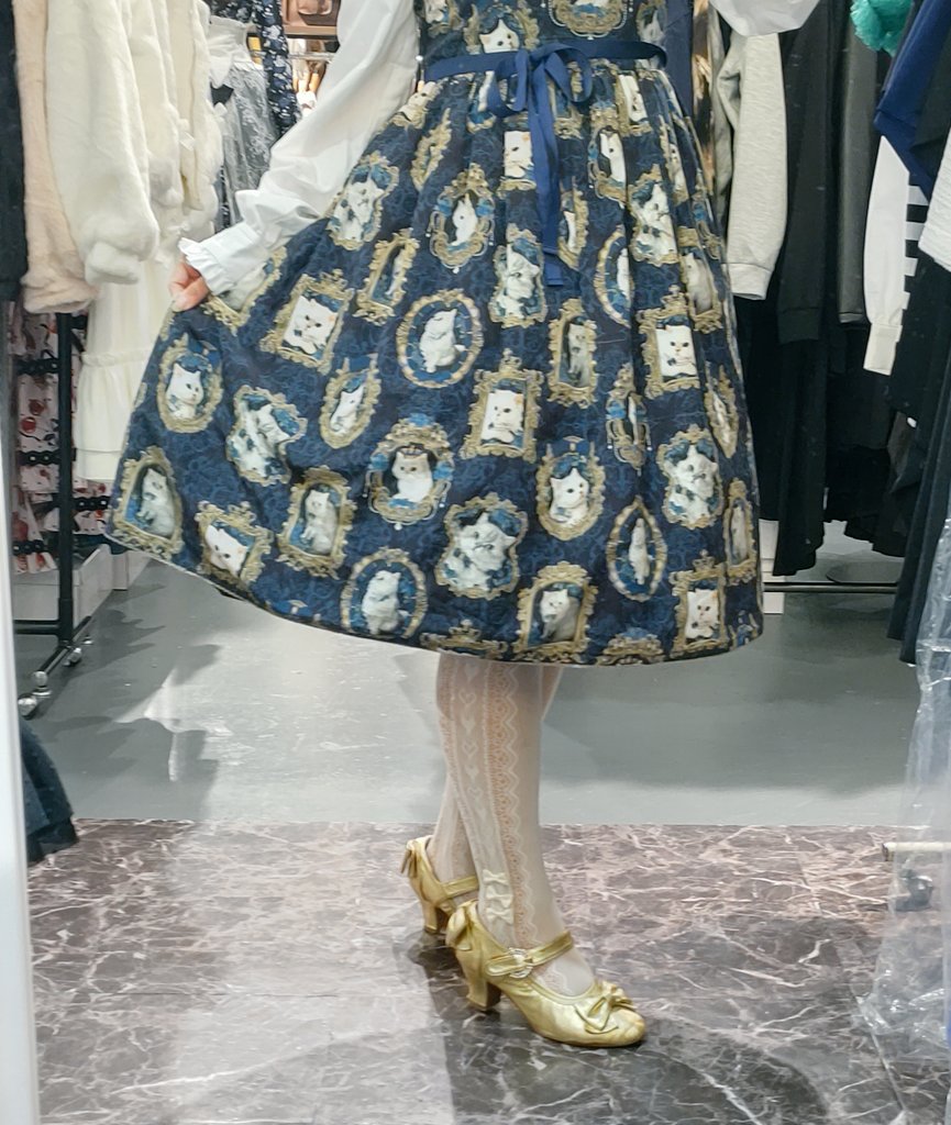アンシャンテリー猫の王女達の肖像画ジャンパースカート　青 楽天市場】【中古】Enchantlic Enchantilly / 猫の王女達の