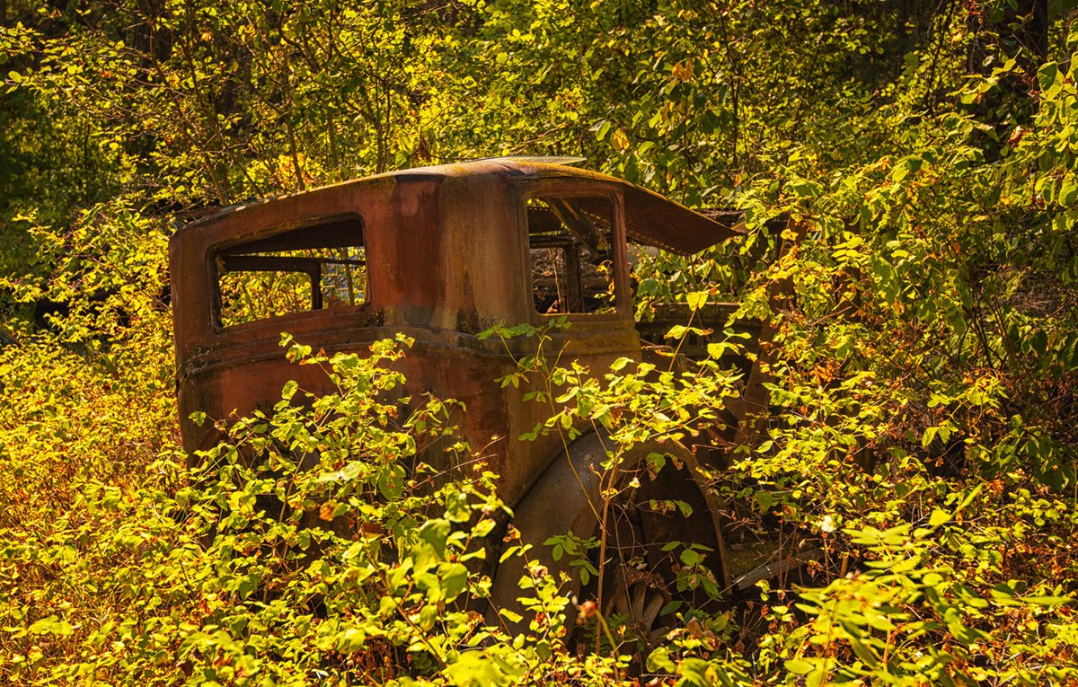 Sam_Alexandra23's tweet image. Good day Photographers &amp;amp; Friends!  Today's photo challenge theme is #Rusty.  Hope you'll share your best captures of anything rusty. Have a safe and enjoyable day out there! #Photography 📸