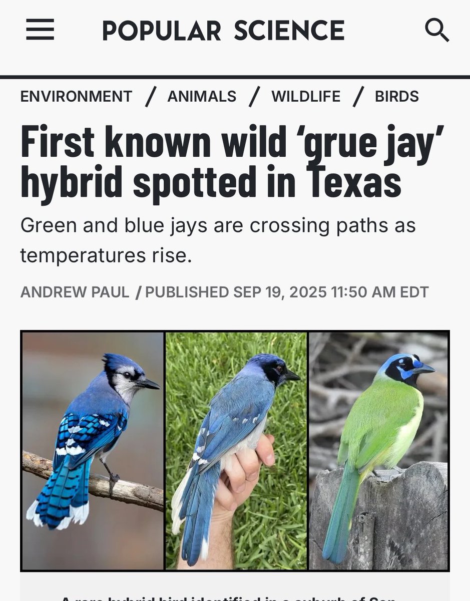 Just as Goodman predicted! 

popsci.com/environment/bl…