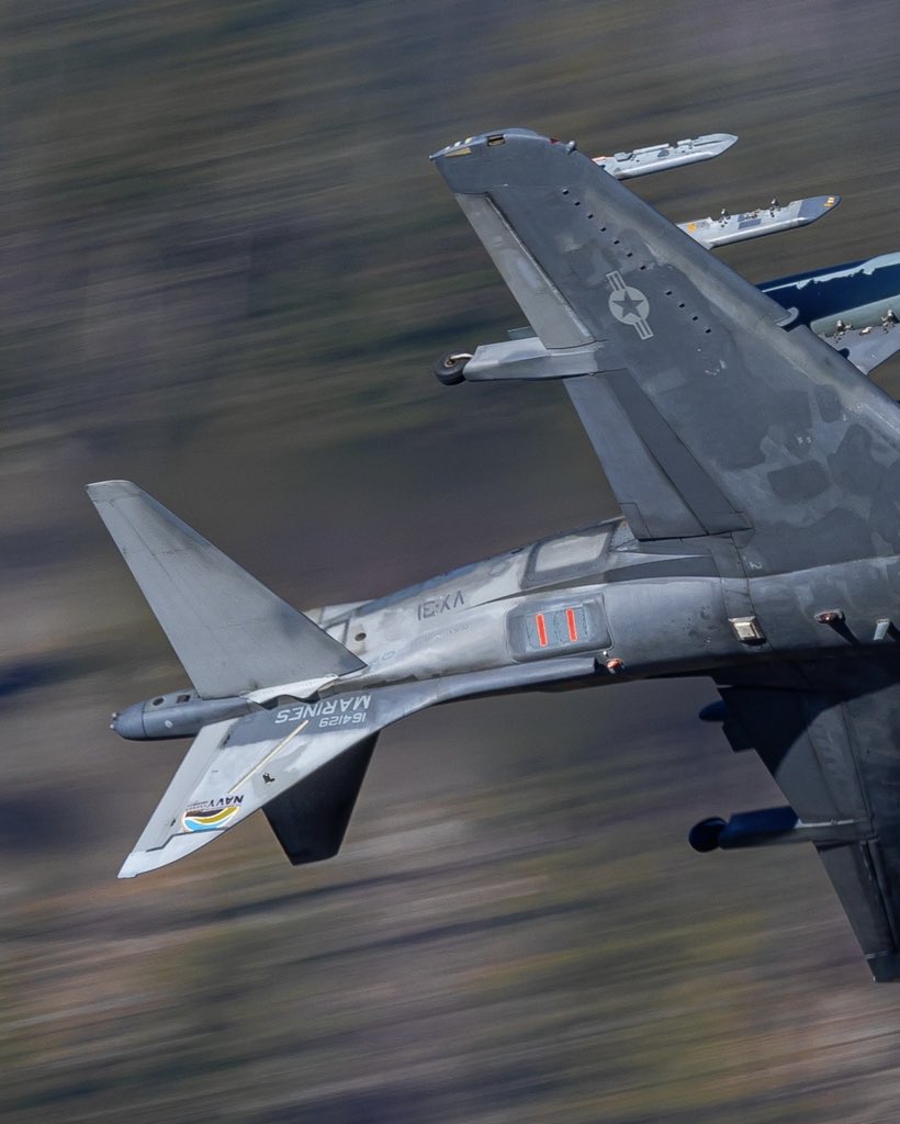 JarodMHamilton's tweet image. Sharing more of my Harrier shots all week 🤙