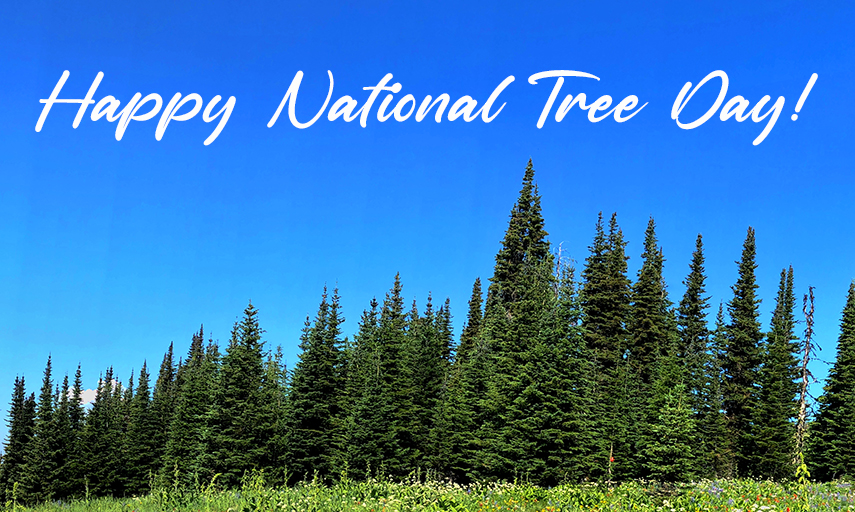 🌳 Today marks Tree Canada’s 14th #NationalTreeDay! Community planting events are happening in every province  - treecanada.ca/national-tree-… 

Last year, 2,300+ volunteers planted 8,770+ trees &amp; shrubs at 21 events across the country! 🌱