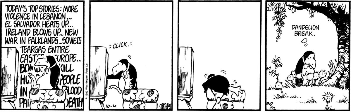 TheDreamMasters's tweet image. Dandelion Break  

(until further notice)  

#DandelionBreak #BerkeleyBreathed #BloomCounty