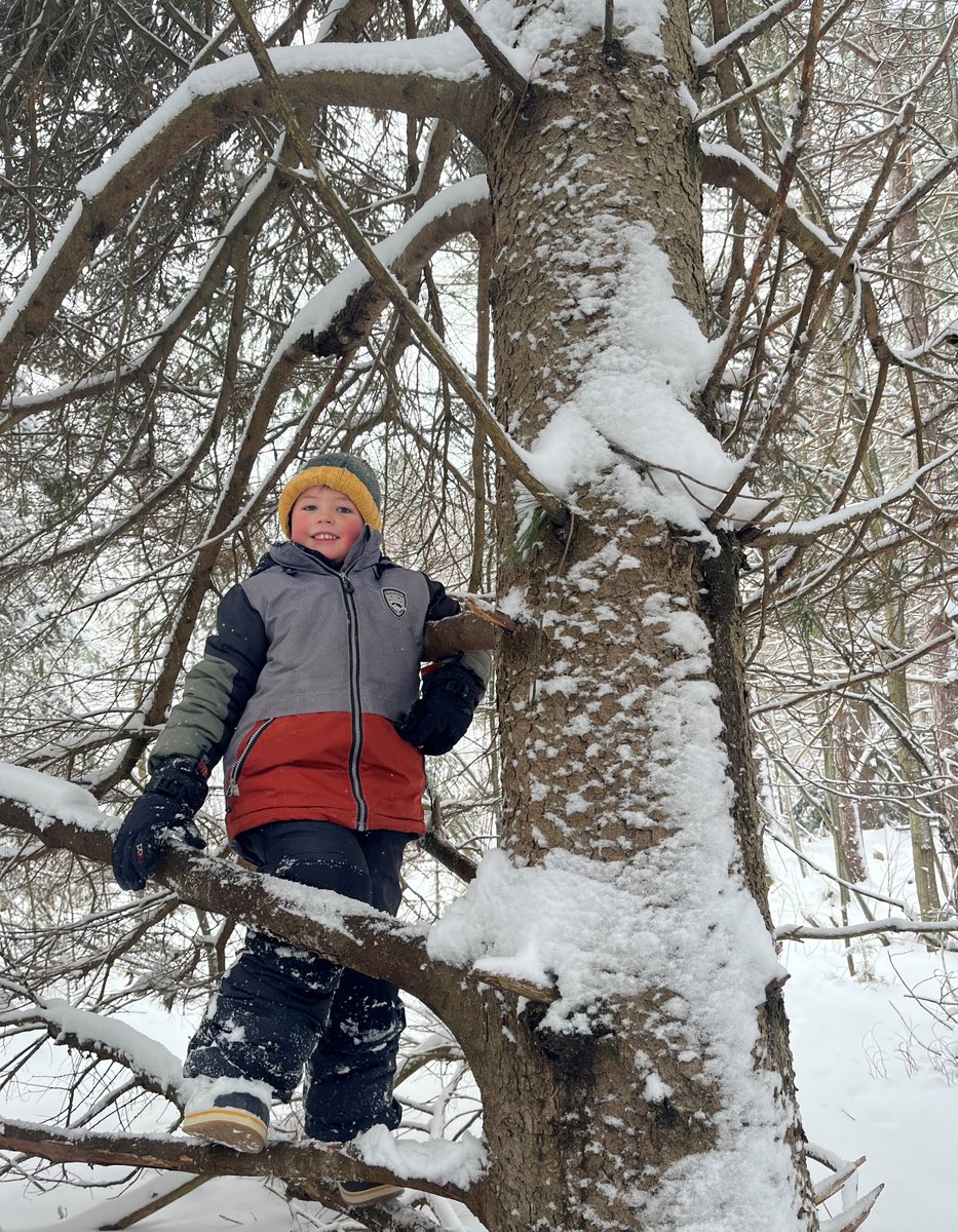 Spend your PD Day in the forest! Registration is now open for nine day camps at Baxter Conservation Area following the PD Day schedules of six area school boards: OCDSB, OCSB, UCDSB, CDSBEO, CEPEO &amp; CECCE. For students aged 6 to 12. Learn more &amp; register: rvca.ca/outdoor-educat…