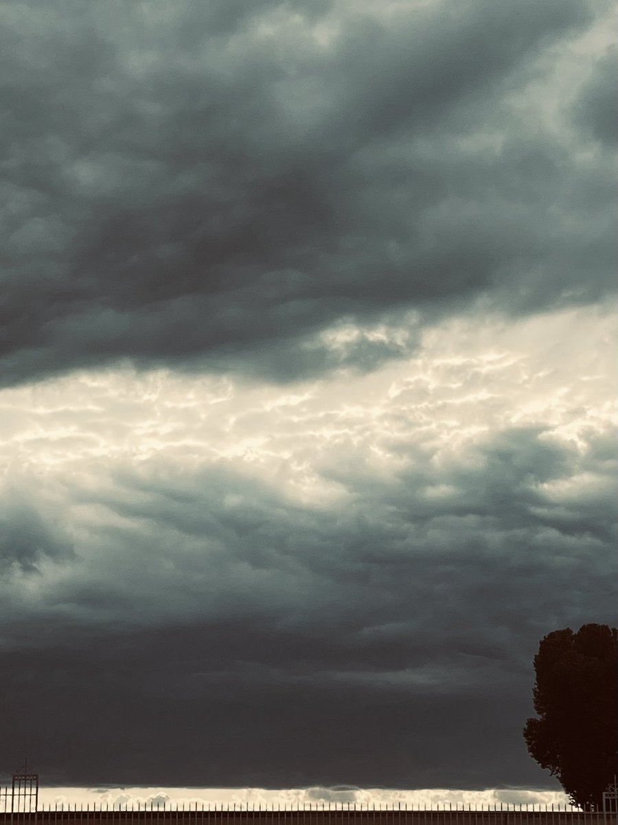 Pichon Comtesse 2025 - Shades 2
#PichonComtesse
#TheBestIsYetToCome
#Memories