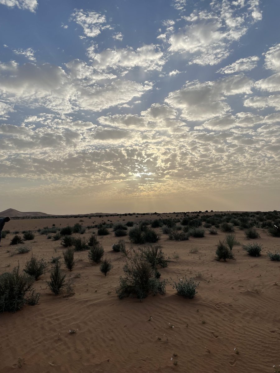 من رعى صحرى الضماء    إبل وغنم … يستاهلك