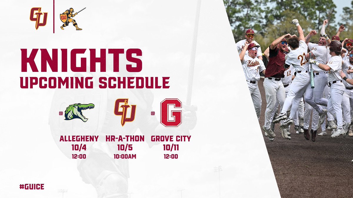 Gannon Baseball tweet media