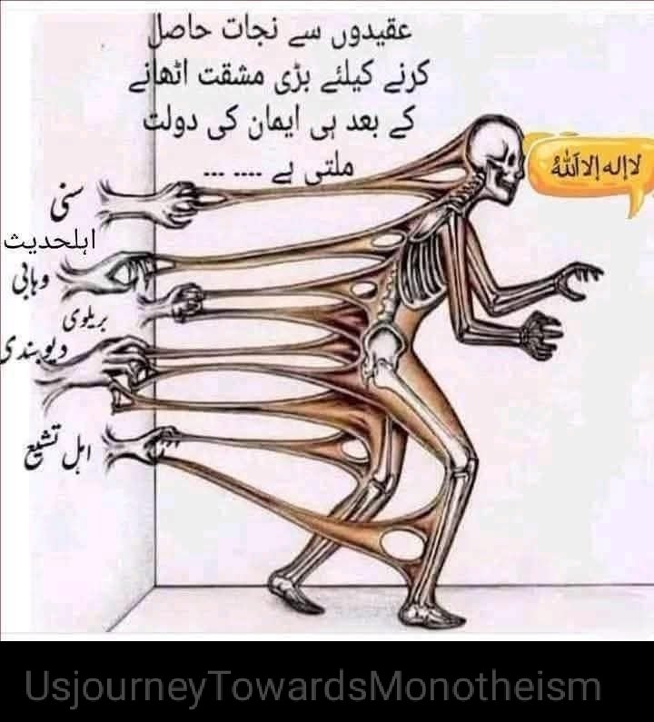 Saba 🇵🇰💚 tweet media