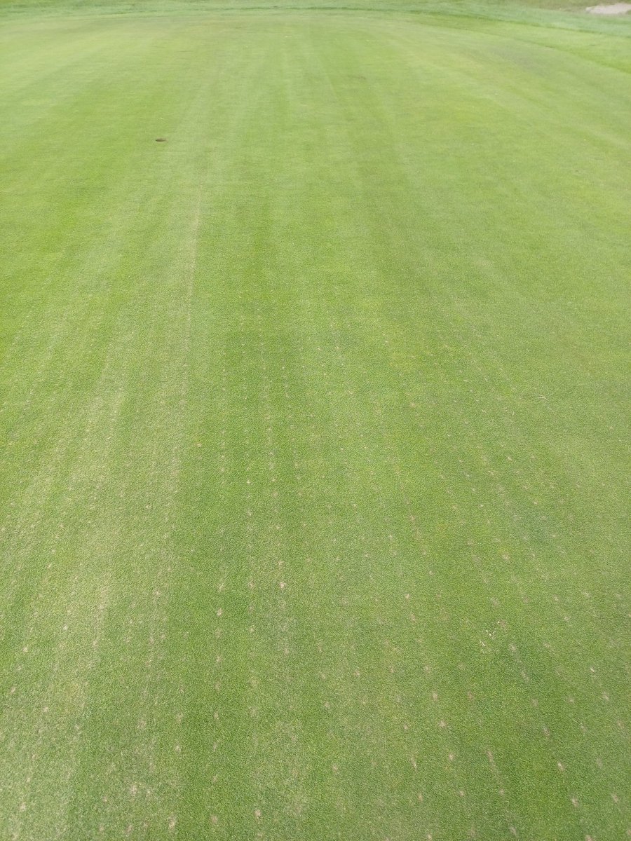 <a href="/JonnyAHBowker/">Jonny Bowker</a> <a href="/CampeyTurfCare/">Campey™ Turf Care Systems</a> The finish after the sweep and fill brush. 👍