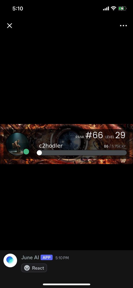 Level 29 looks sweet on <a href="/askjuneai/">June</a>  discord… when Juner role??