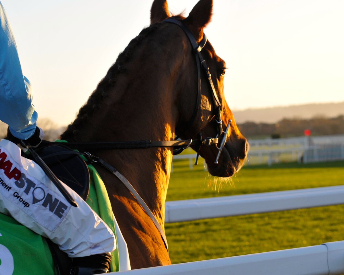 Michael Harris tweet media