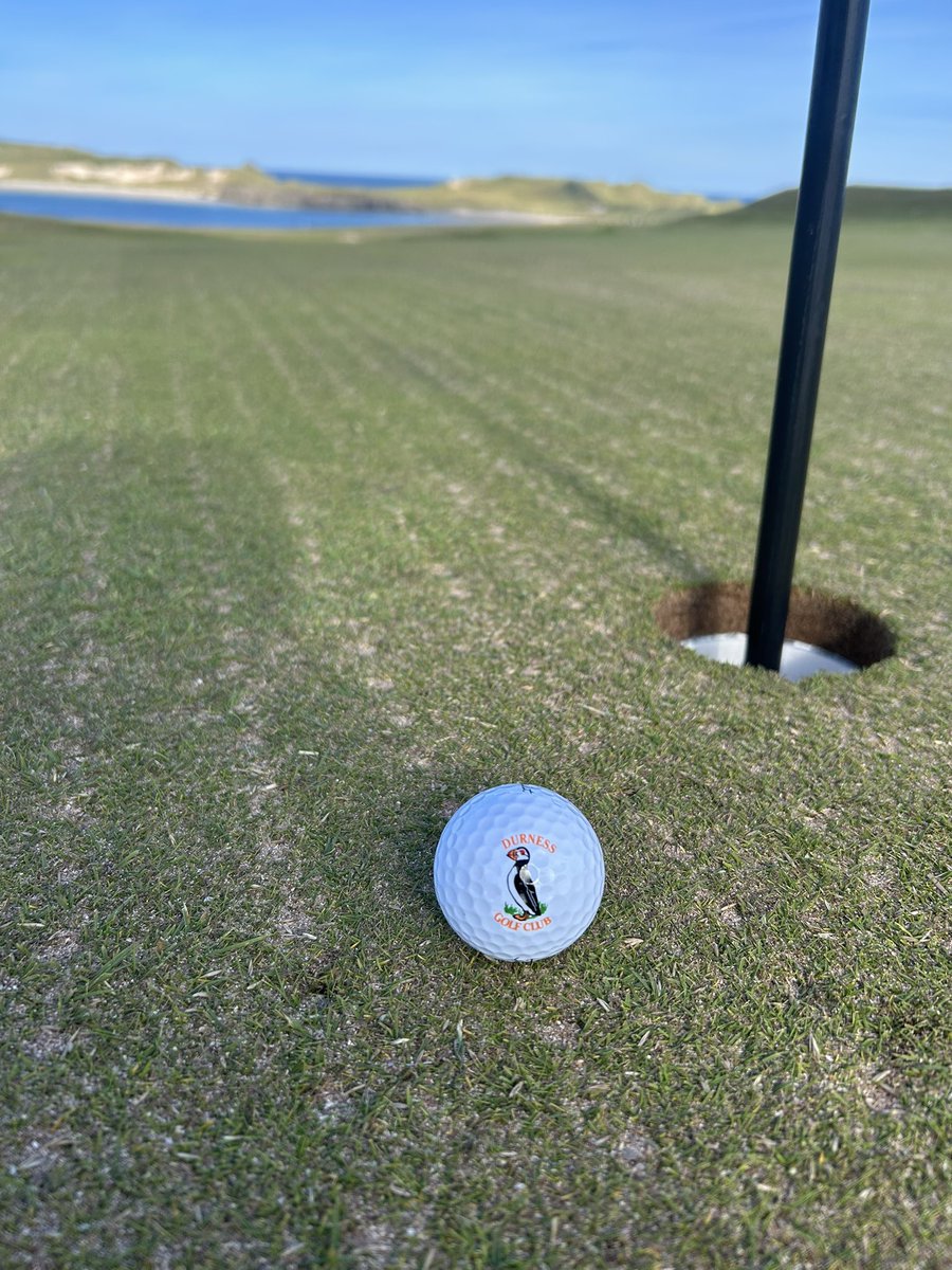 Alistair Morrison tweet media