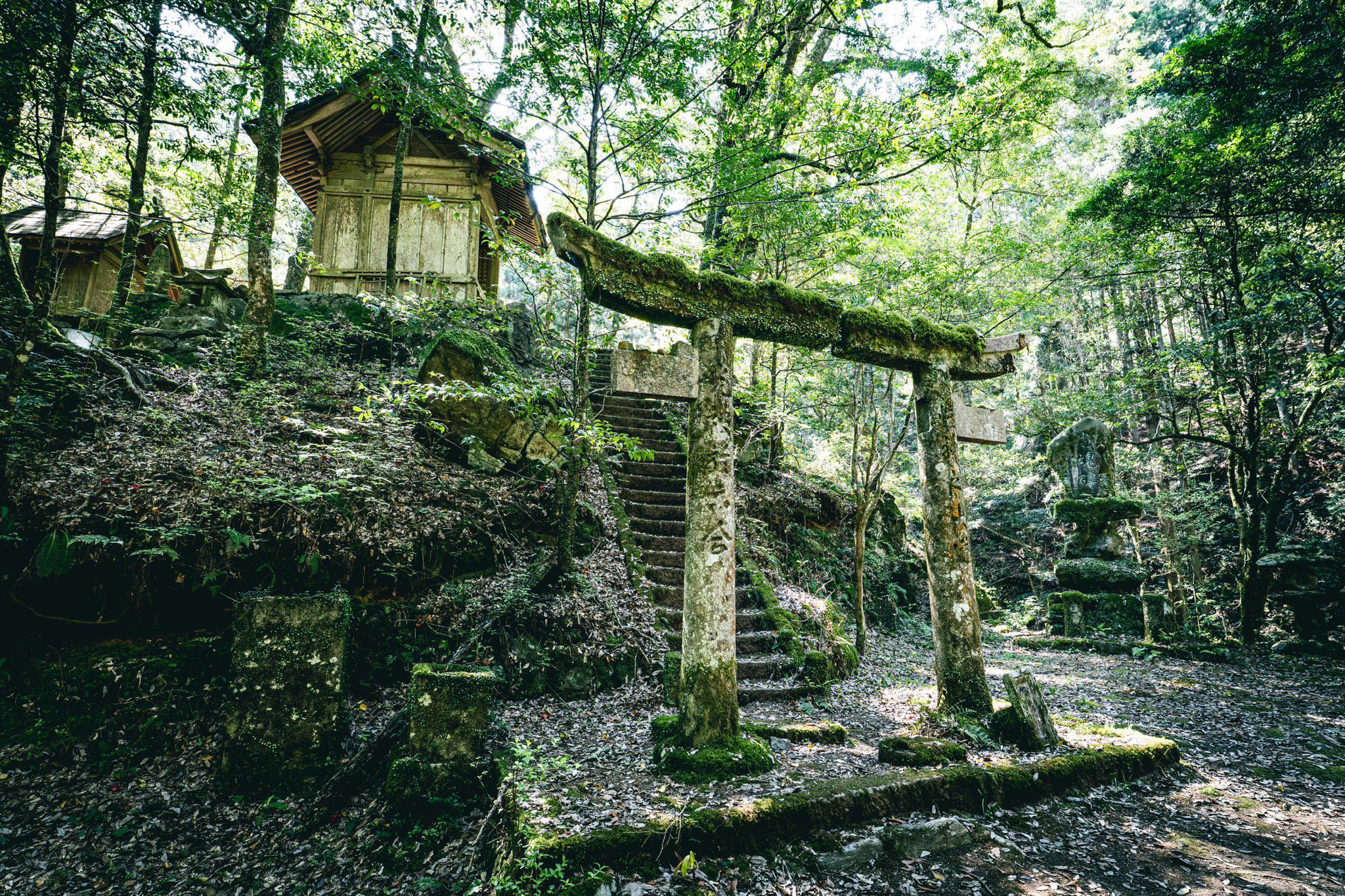苔むした庭園/見事なエピドートインクォーツC/パキスタンスカルドゥ産 苔むした庭園/見事なエピドートインクォーツC/パキスタン
