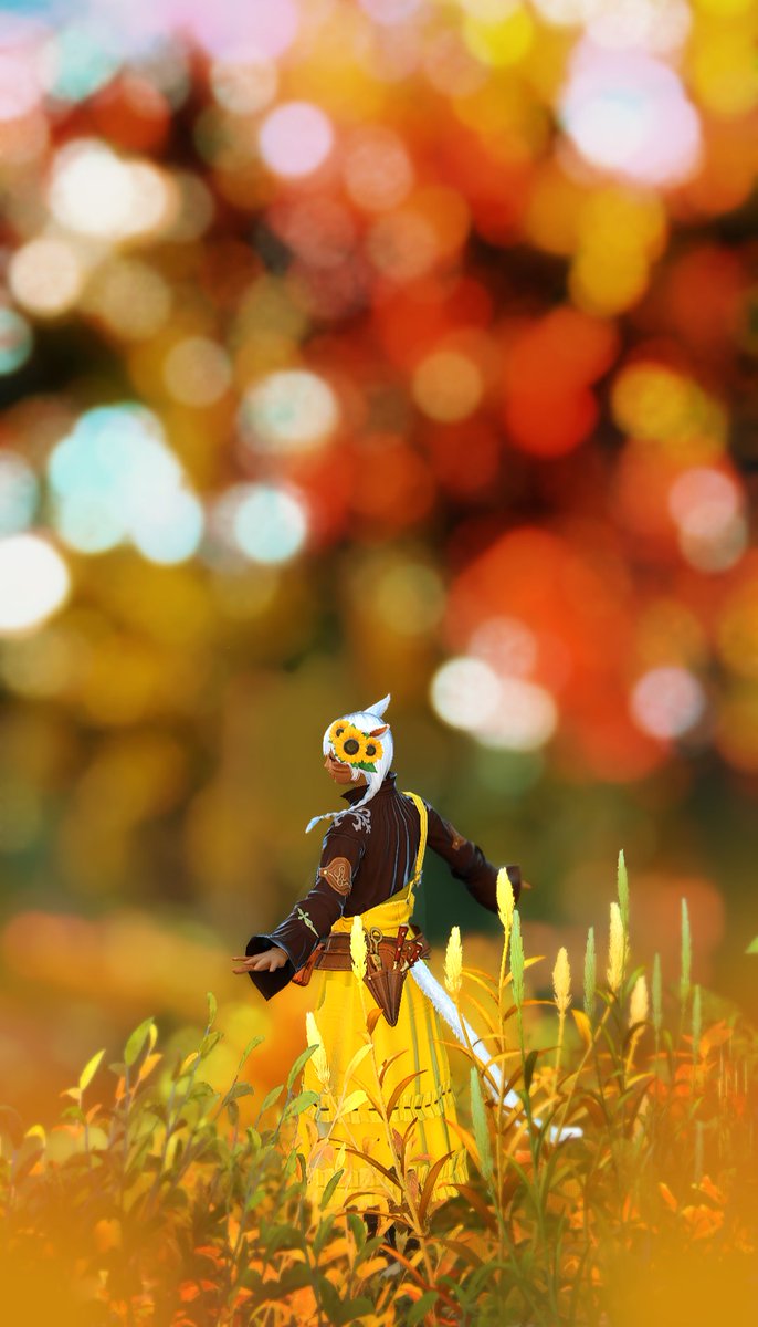 𝒉𝒆𝒍𝒍𝒐 𝒂𝒖𝒕𝒖𝒎𝒏 🌻🍂
#gposers ✿ #miqote