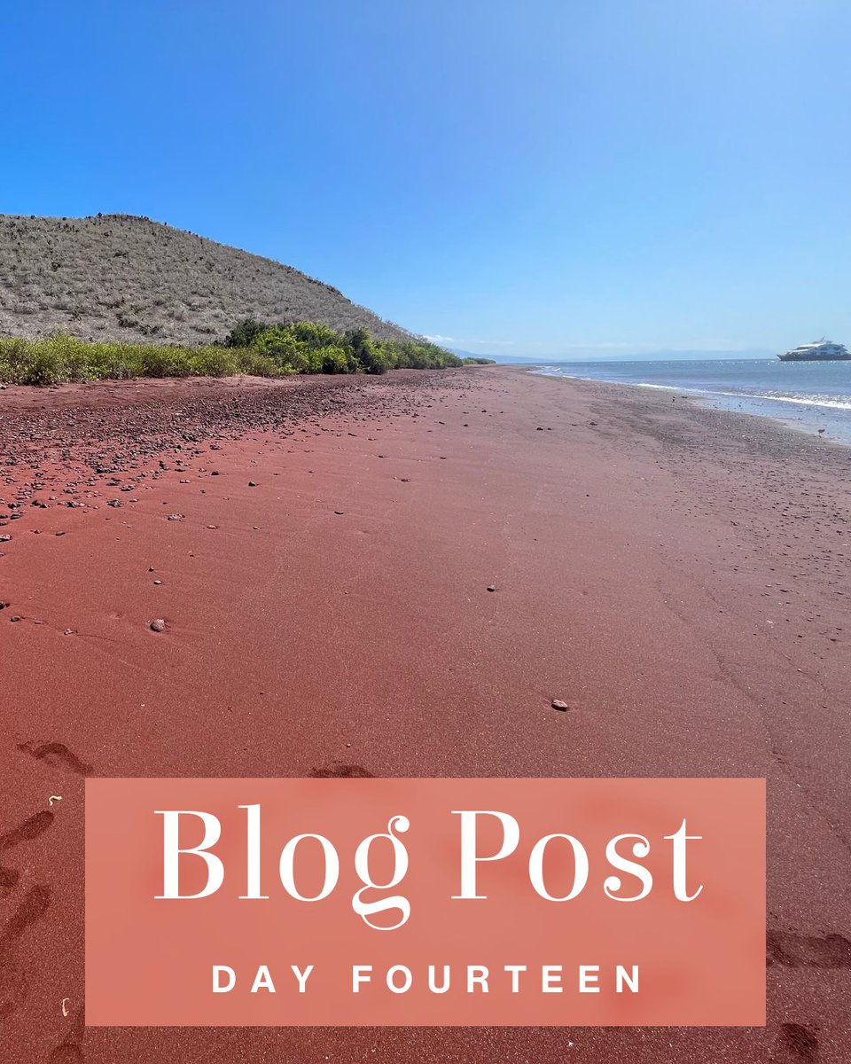JemimaAtar's tweet photo. "We've travelled 433.5 nautical miles over the last week - my life has been changed again, and I've fallen in love with the islands. I know, with a deep sense of knowing I can't describe, that I'll be back one day."

Read Day 14 of my South America blog: https://t.co/CdLDs0JAd0 https://t.co/tykDhLUCAQ