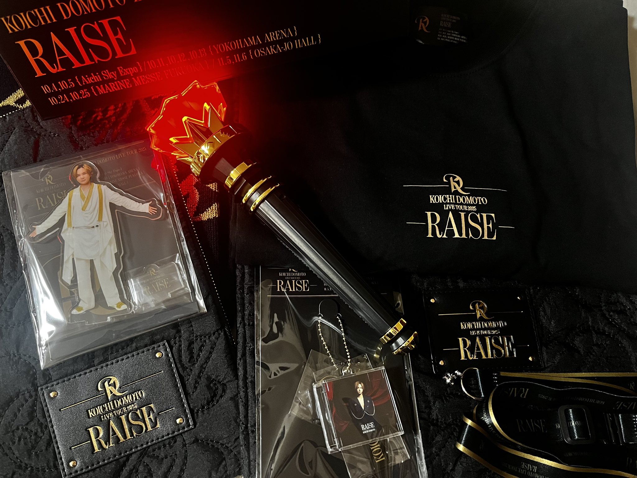 堂本光一RAISEツアーグッズ 堂本光一 RAISE ペンライトケース KOICHI