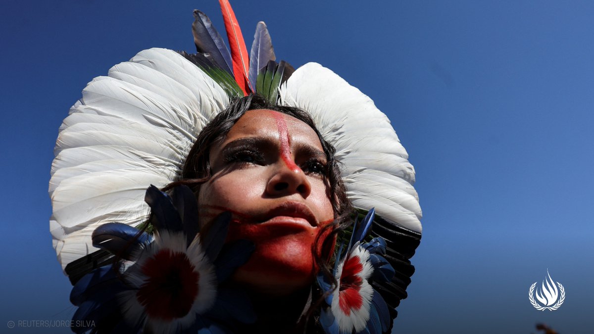 UN Human Rights (@unhumanrights) on Twitter photo From combatting deforestation in the Amazon to promoting renewable energy in the Arctic – Indigenous Peoples have pioneered practices rooted in respect for nature & future generations.
Indigenous People’s knowledge, cultures, & practices have enriched humanity, & they help us From combatting deforestation in the Amazon to promoting renewable energy in the Arctic – Indigenous Peoples have pioneered practices rooted in respect for nature & future generations.
Indigenous People’s knowledge, cultures, & practices have enriched humanity, & they help us
