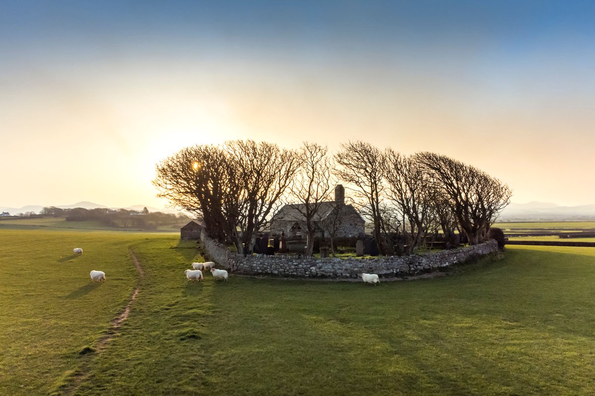 There's Noel time like the present.... We know it's a bit early to be thinking about Christmas, but even so, our charity Christmas cards have been flying off the shelves, and it's only September.

📷 “Protective Oaks” - St Baglan's, Llanfaglan, Gwynedd.