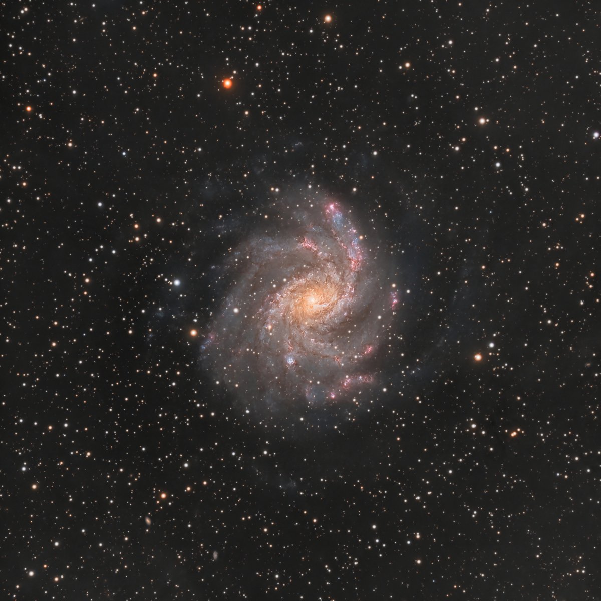 NGC 6946 in Cepheus (again)

I still don't feel like I'm doing this beautiful galaxy justice, but for now, this is the result for 2025 ;)

14h with the Celestron C8 <a href="/f/">Fred Oliveira 🧠</a>/7