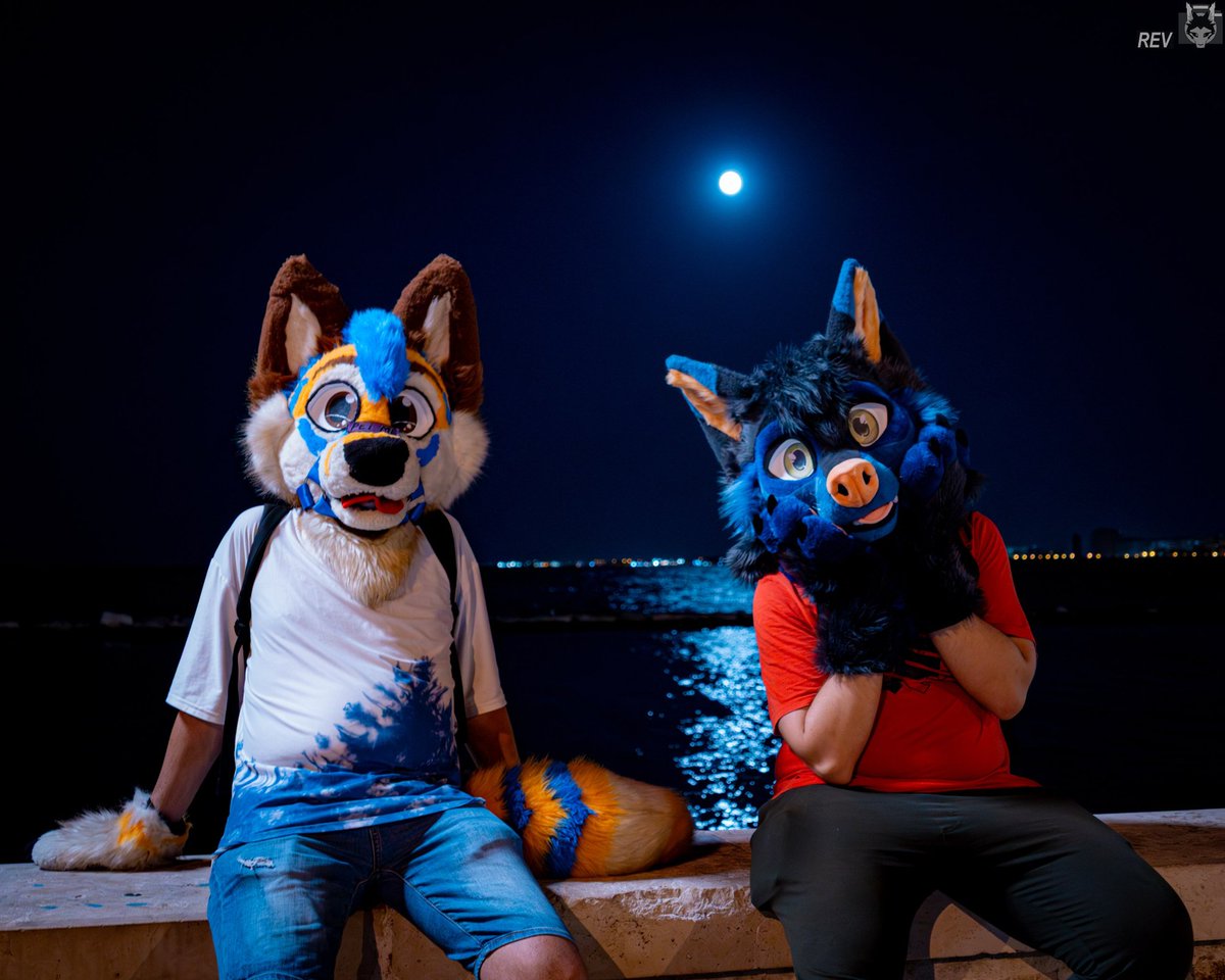 <a href="/plastickfox/">plastickfox 🔜 MFF, NYFB 📸🦊</a> Agree!

(📸 <a href="/RevSkulldog/">Rev🔜GH🇸🇮</a>)