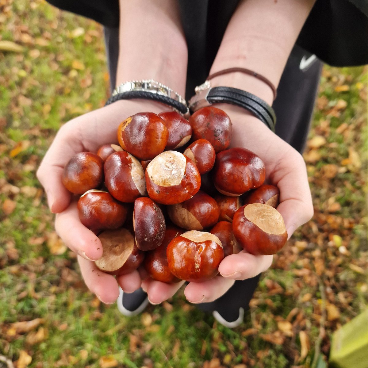 cupcakelinda05's tweet image. Been busy?...er yeah! 😆

#CookingApples
#conkers