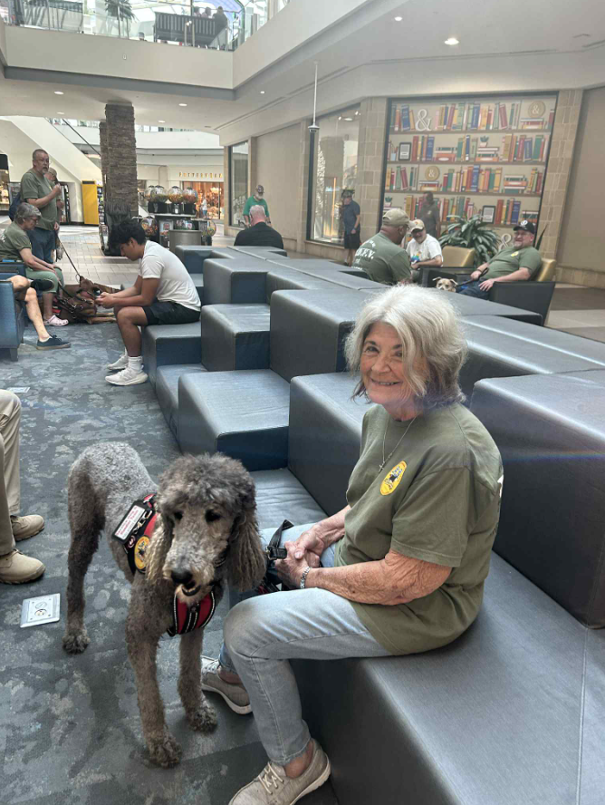 84DogsHelp's tweet image. Join us in our mission to support veterans through the incredible power of working dogs! 🐾🤝 Together, we can make a difference. Visit us: wix.to/0HrSAN0 #WorkingDogsForVets #SupportVeterans