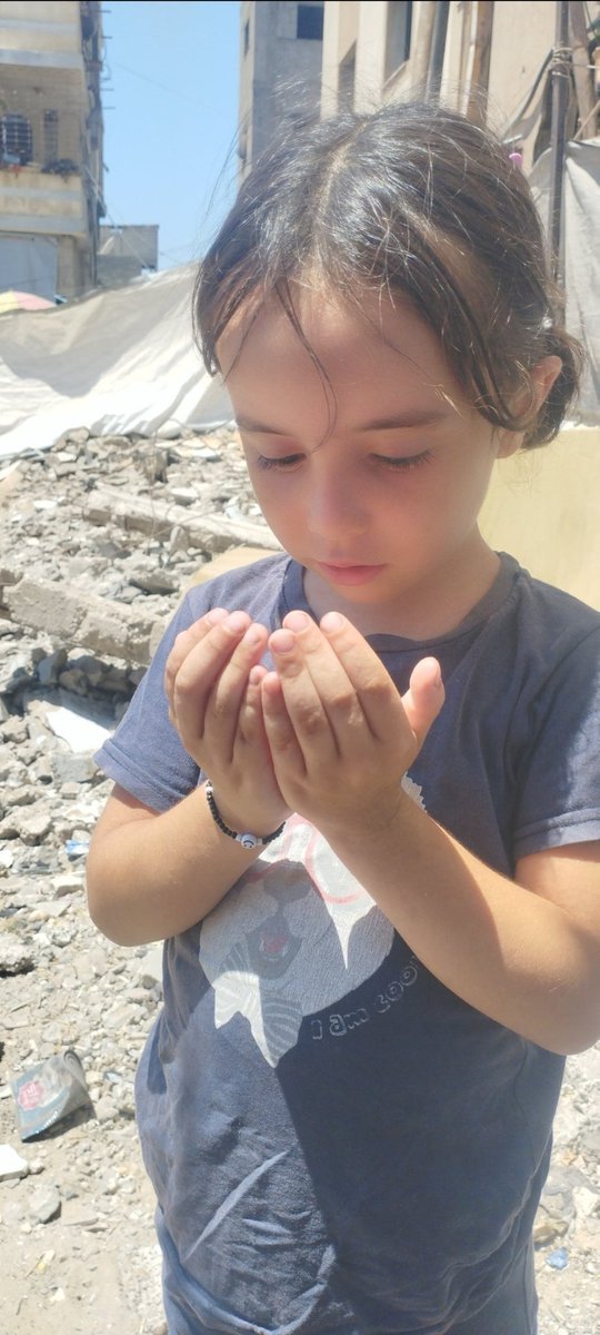 alma_hamed14408's tweet photo. https://t.co/EathSTNUjr
Gazze'den zorla güneye göç ettirildik. Bu, bombardımandan ve ölümden kaçmak için onuncu (hatta daha fazla) kez yerinden edilişimiz.
Çok zor şartlarda yaşıyoruz; ne barınağımız var ne de yeterli yiyeceğimiz.
Sizden bize yardım elinizi uzatmanızı istiyoruz https://t.co/glyhCHG6SI