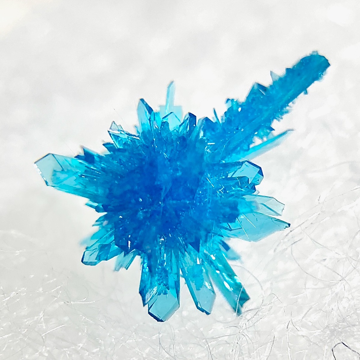 #見た人も無言で推しのドアップを貼る