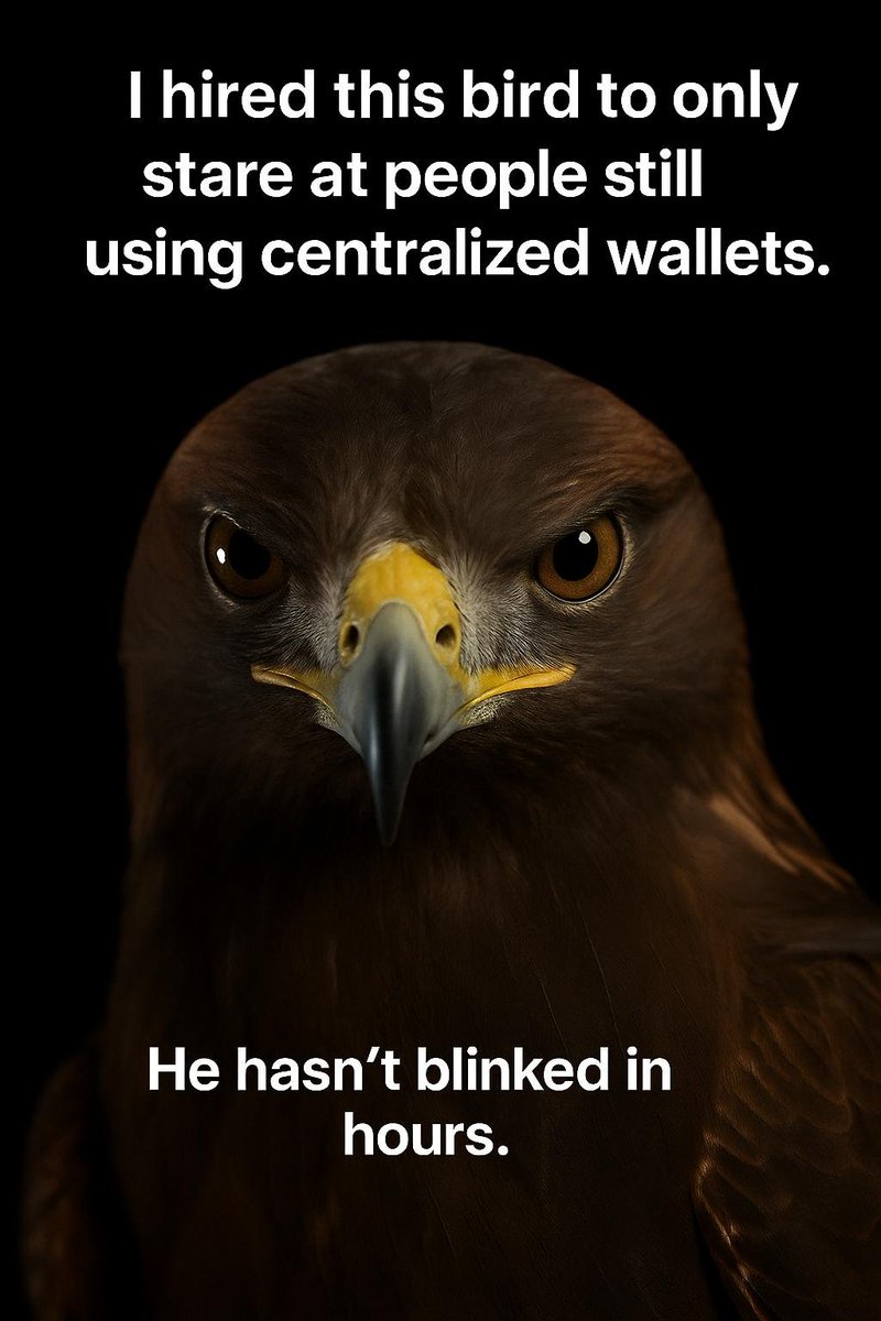 Self-Custody >>>>>>>>>

#BlackfortWallet