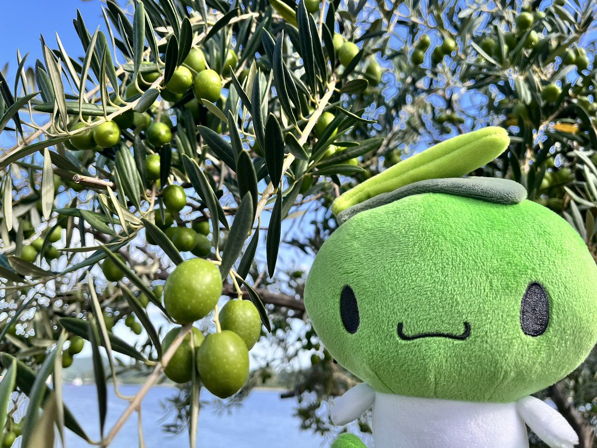 オリーブ シマ様 香川県小豆島のキャラクター「オリーブしまちゃん」公式サイト