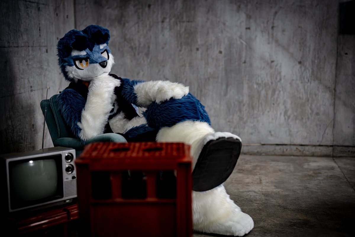 そらねこ* (@skycat_00) on Twitter photo 