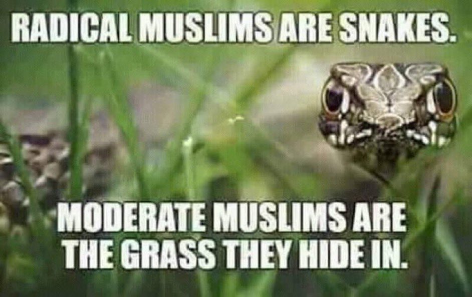 <a href="/BarronTNews_/">ⁿᵉʷˢ Barron Trump 🇺🇸</a> <a href="/GranthamRayburn/">Grant</a> Absolutely!