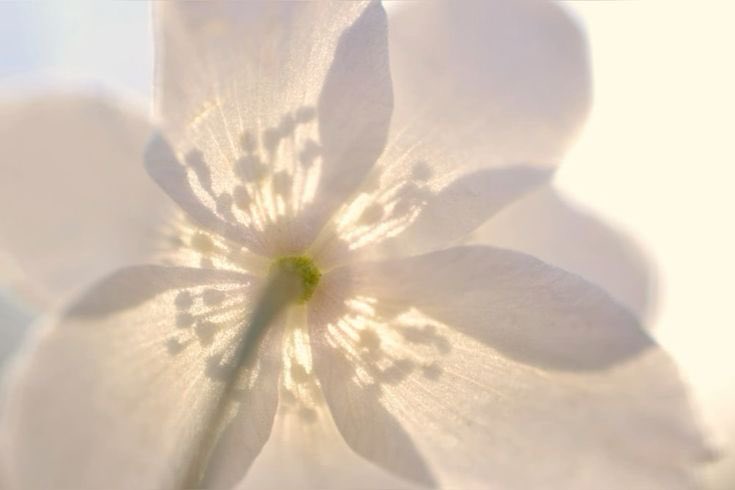 tripleSPicBot's tweet image. hi wavland,
this is a new tripleS picbot account, posting photos every 3 hours of all members!
any and all support is very appreciated!! ♡ 

#tripleS #트리플에스