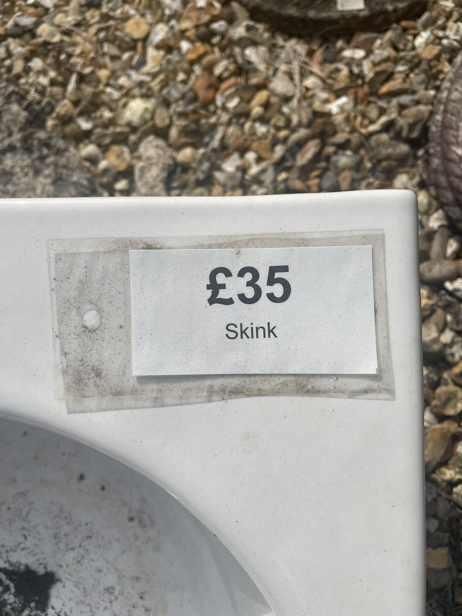 Came across this in a garden centre about a month back and I still think about it. 

Let that skink in