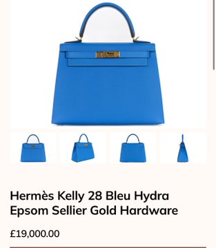 Two people, a man in a suit and a woman in a beige coat holding a blue Hermès Kelly 28 Bleu Hydra Epsom Sellier Gold Hardware bag, stand at a podium with microphones. Signs in the background read "REFERENDUM TO STOP SPEND MONEY BUY T" and include references to Israel. An X watermark is visible.