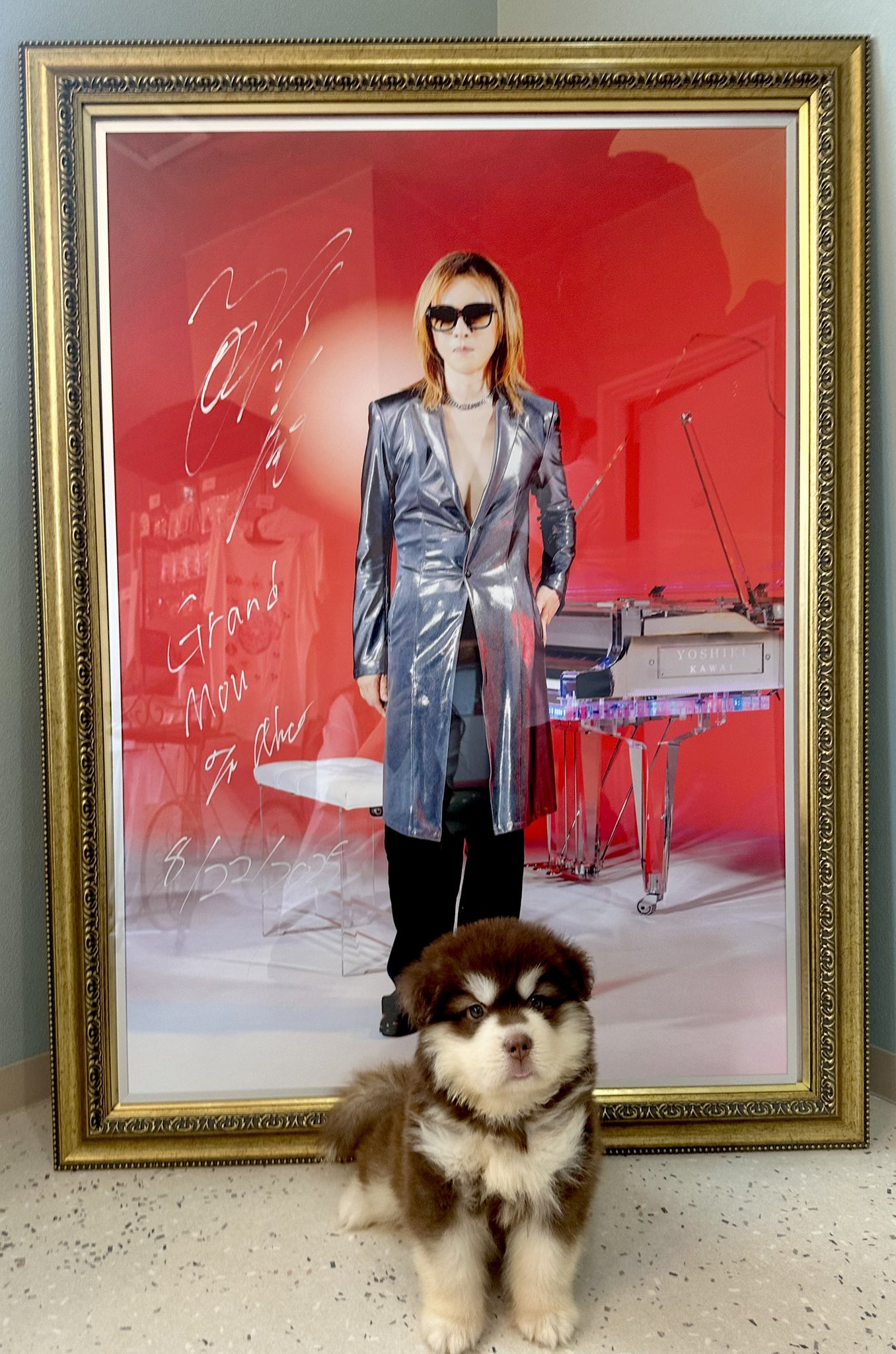 【☪❥ナンシー❥☪】 ナンシー – търсене / X