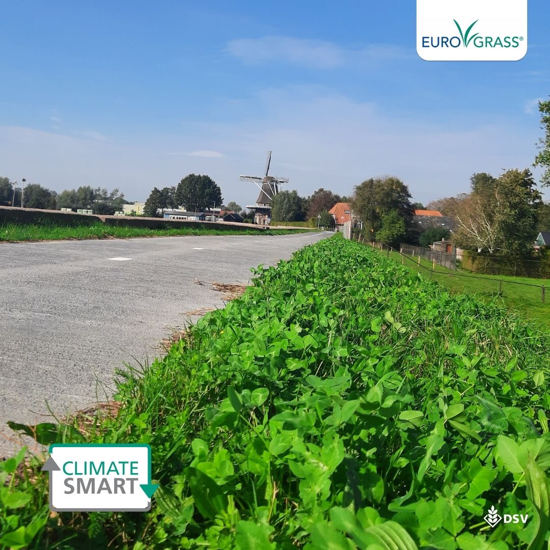 🌊Groene dijken: biodiversiteit én veerkracht in de praktijk. Door toenemende klimaatextremen komen dijken steeds vaker onder druk te staan. Zware regenval, langdurige droogte en wisselende grondwaterstanden vragen om nieuwe inzichten in waterveiligheid. bit.ly/4pCFq8