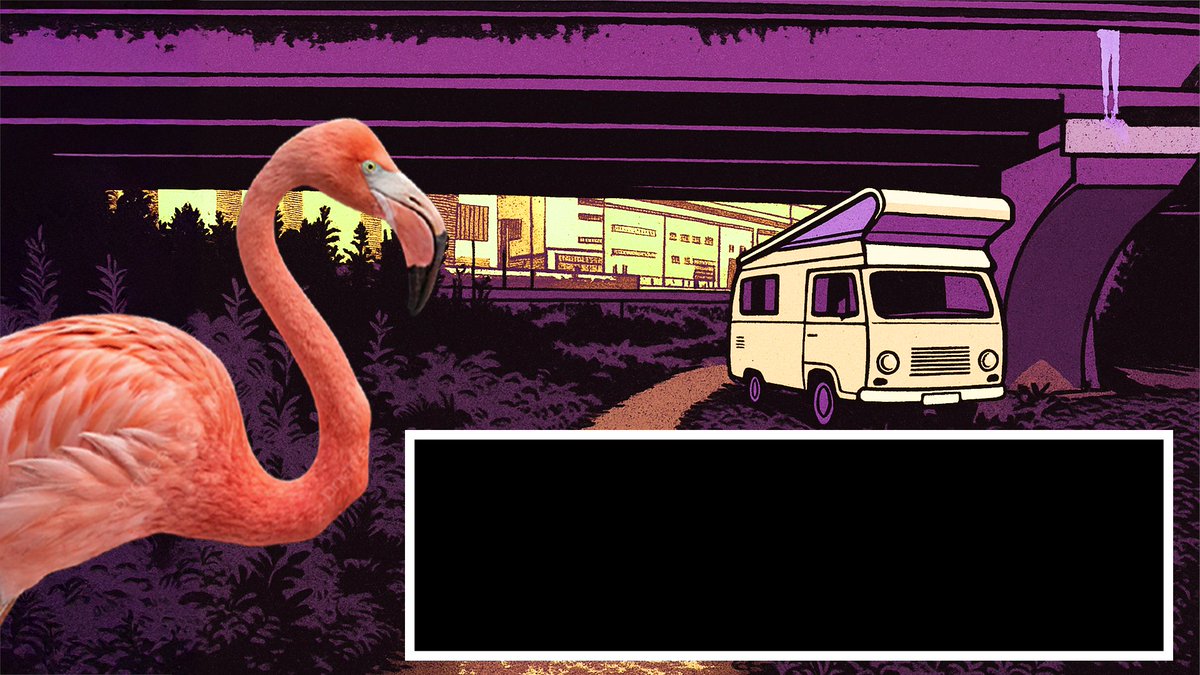 분필갈매기 tweet media