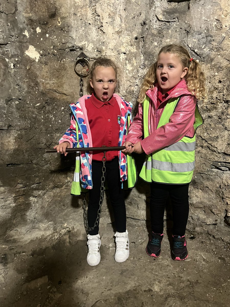 treuchafprimary tweet media