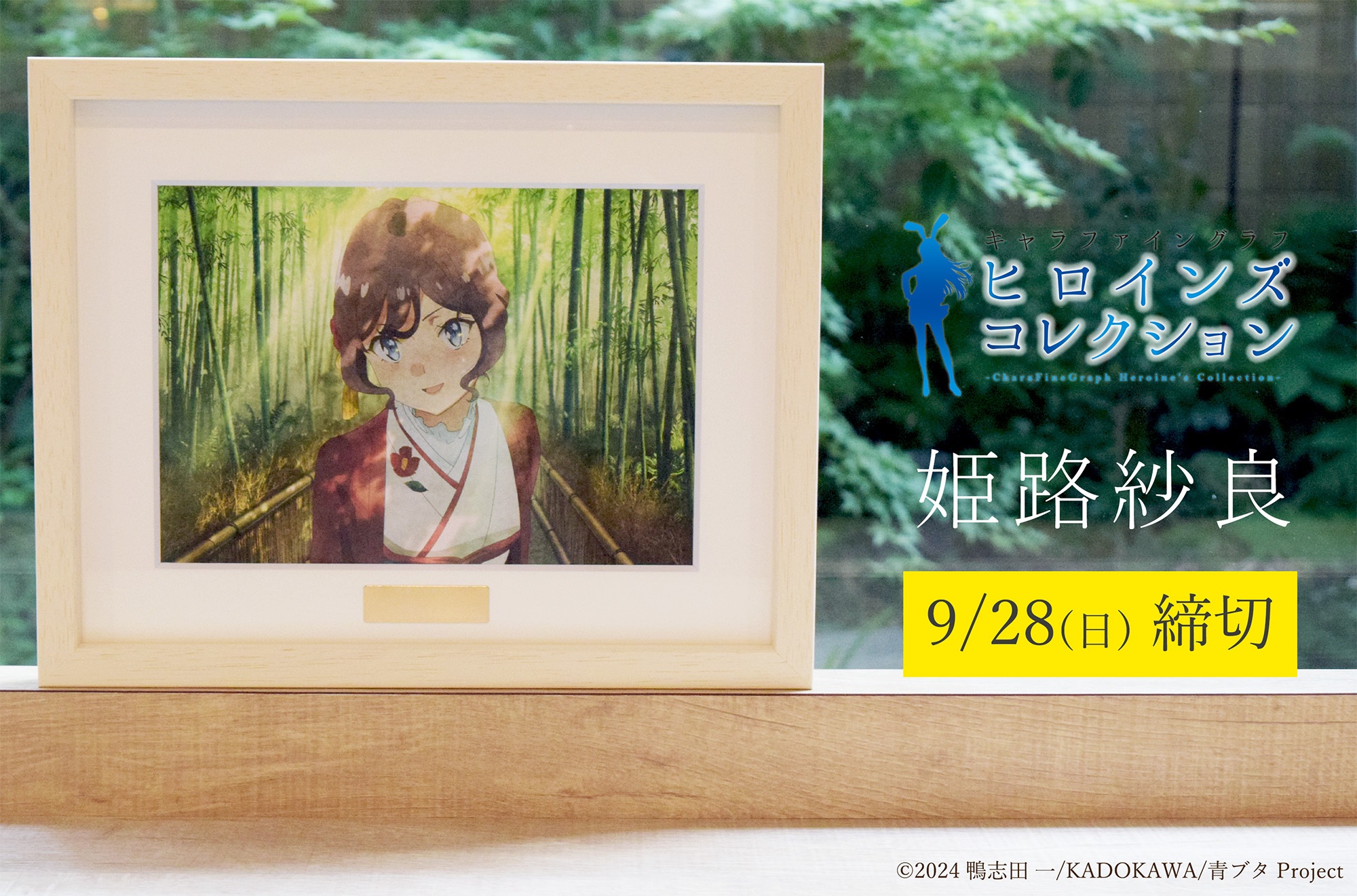 青春ブタ野郎キャラファイングラフ ～ヒロインズコレクション キャラファイングラフ ヒロインズコレクション