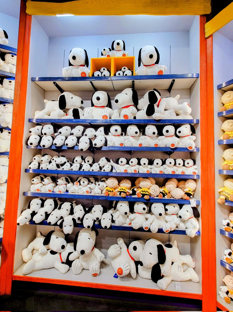 おスヌさんとチャーリー！ハッチャメチャ🤣🎶🎶
#USJファン