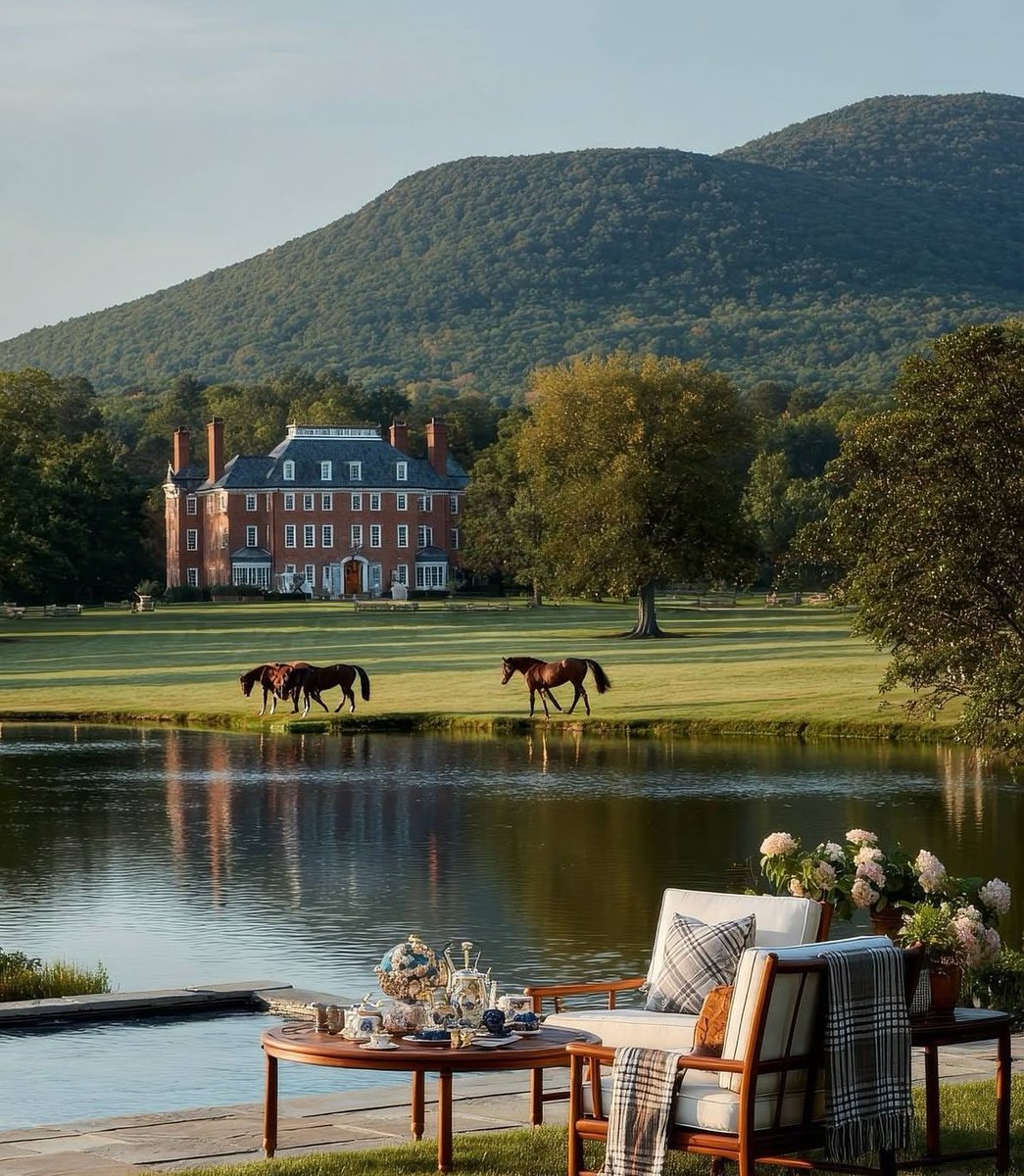 __LadyHeather's tweet image. 