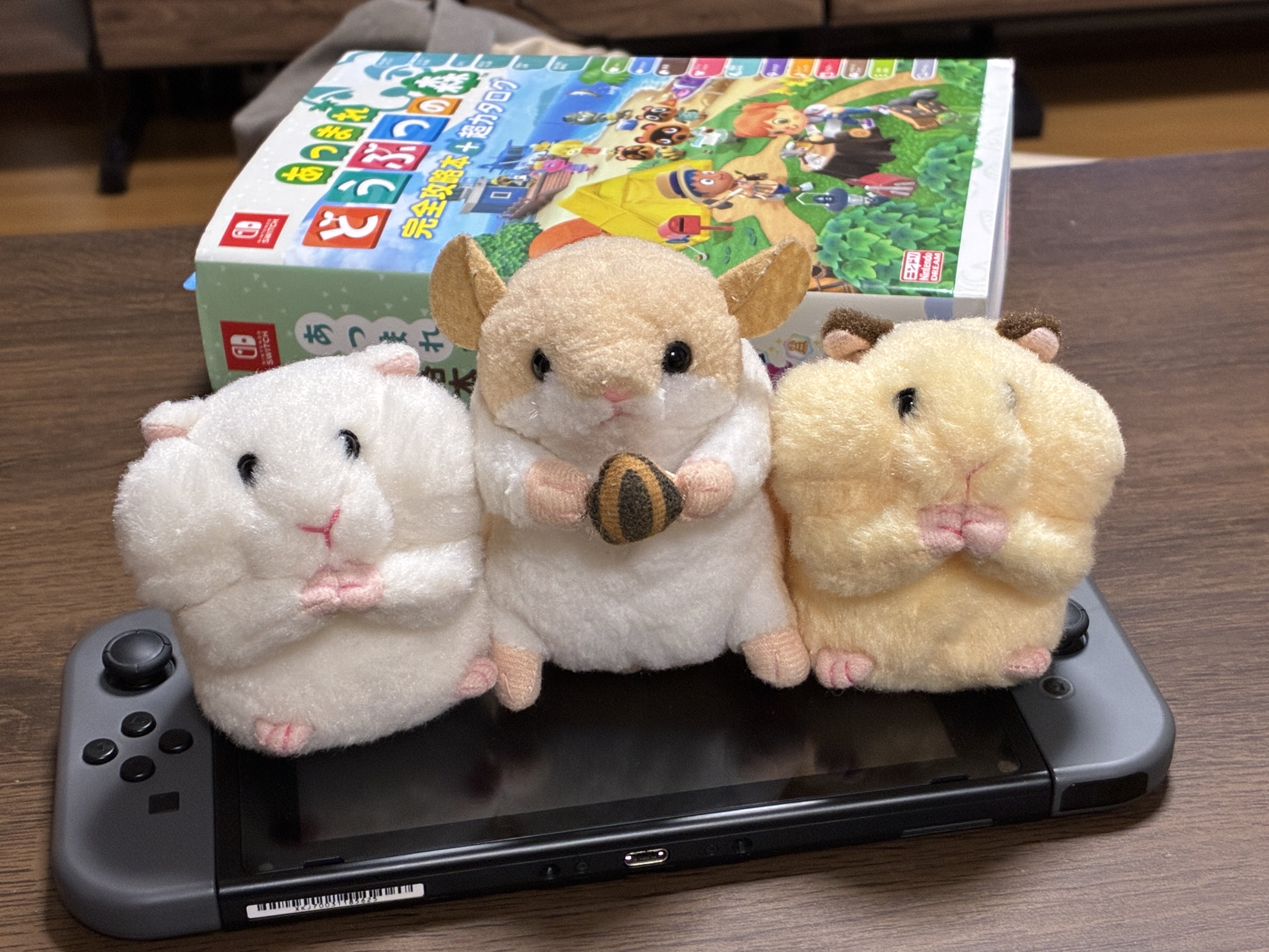 ラ*テ様 【美品】売切御免❗️早い者勝ち！Nintendoswitch あつ森モ いかすけ on X: 
