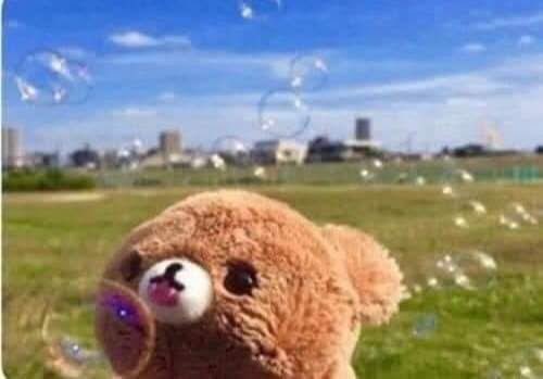 scrapzi's tweet image. &quot;are you fckin&apos; dumb??&quot;
me, literally not forming a single thought: