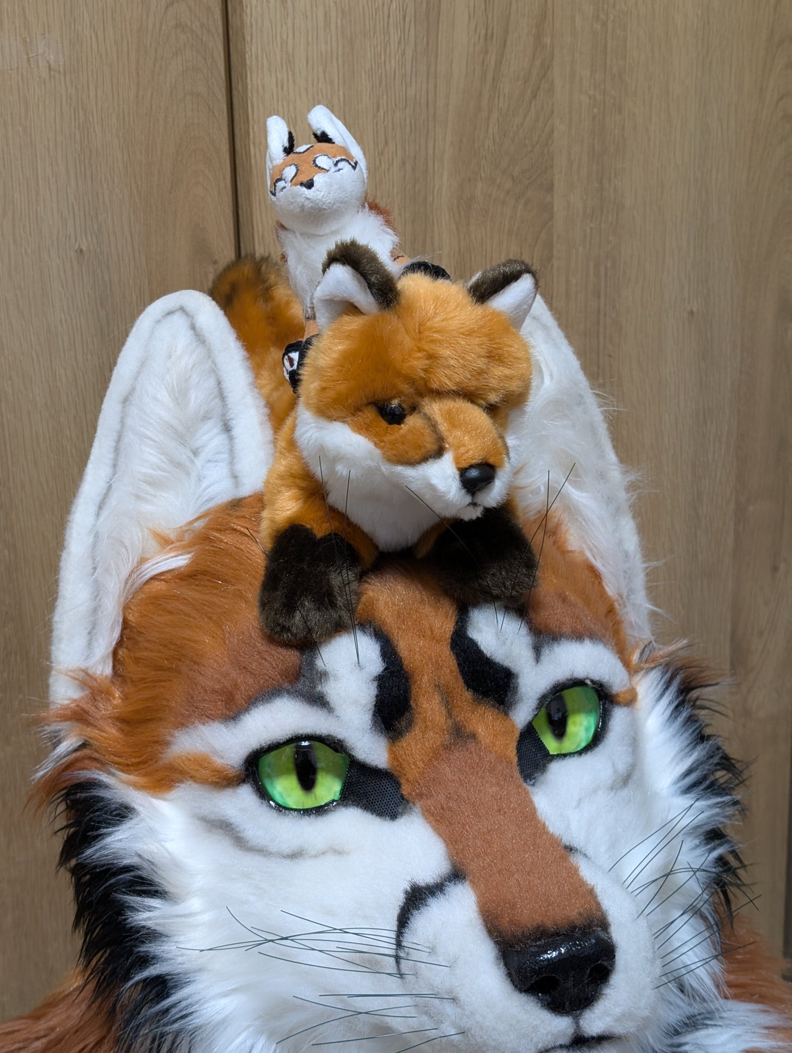 🦊チルド🔭🔜EF29 (@cirdo) / X